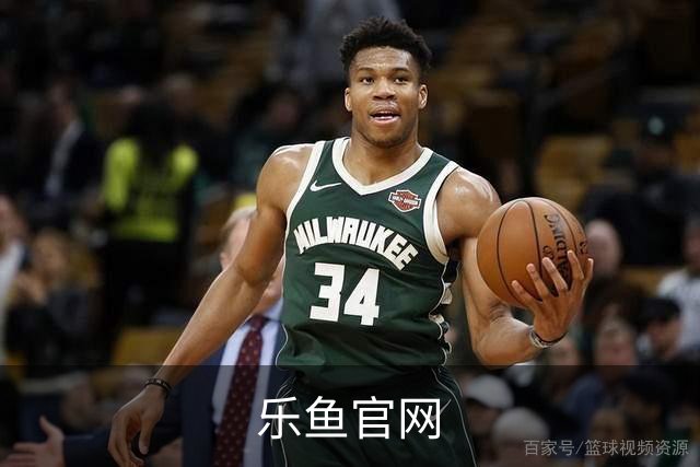 乐鱼官网公司介绍